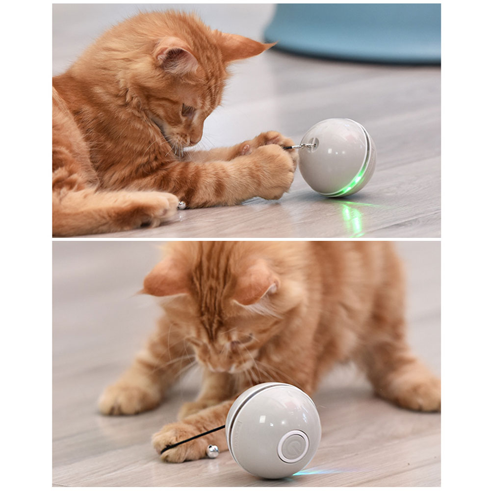 Colorful LED laser funny cat ball