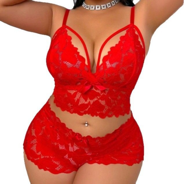 Plus Size Underwear Mesh Suit Lace See-through