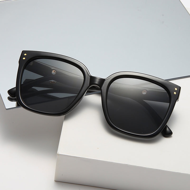 Lijia Unisex Large Frame Sunglasses